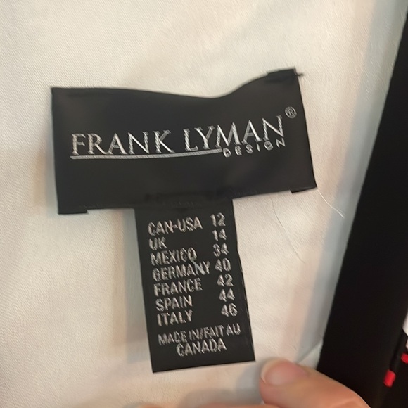 Never worn Frank Lyman Size 12 Dress in new condition - Picture 2 of 3